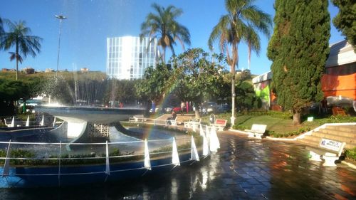 Palm trees in front of building