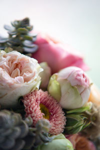 Close-up of fresh pink flowers