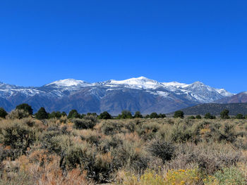 Scenic view of snowcapped mountains against blue sky