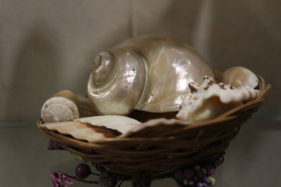 Close-up of wicker basket