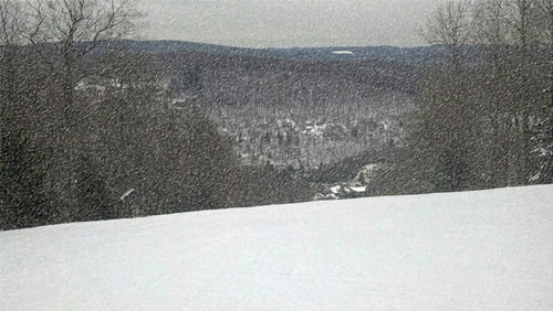 View of snow covered landscape