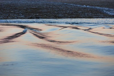 Close-up of sea shore during sunset