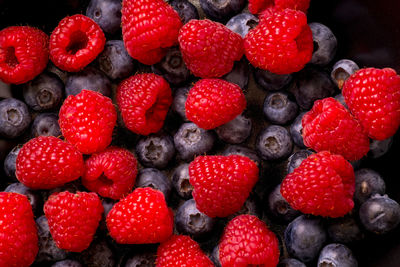 Close-up of red and black berries