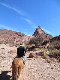 Rear view of man riding horse on barren landscape