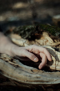Close-up of hand holding wood