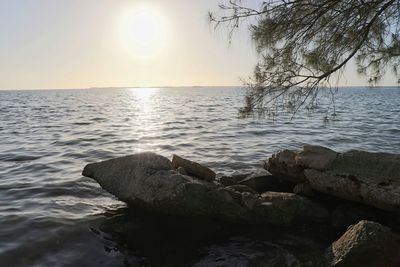 Scenic view of sea against clear sky