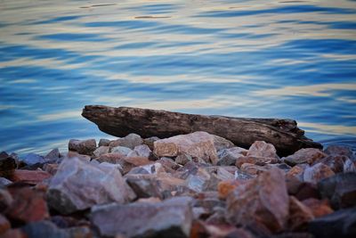 Close-up of rocks in sea