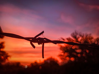 Low angle view of silhouette trees against orange sky