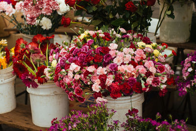 Close-up of flowers in pot