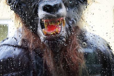 Close-up of raindrops on wet windshield