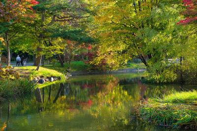 Trees by lake in park during autumn