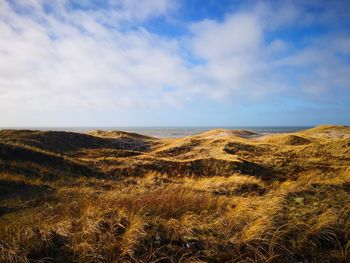 Scenic view of landscape against sky