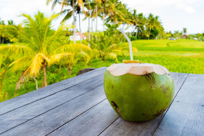 Close-up of coconut on table against trees