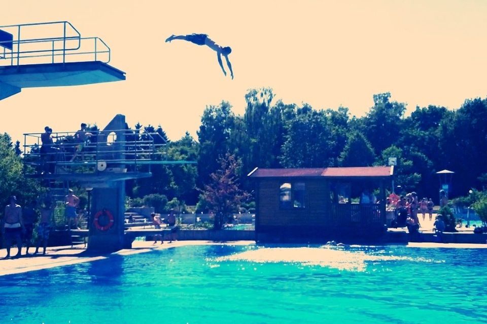 water, tree, swimming pool, waterfront, built structure, blue, bird, animal themes, architecture, building exterior, clear sky, flying, wildlife, sea, palm tree, animals in the wild, nature, sunlight, sky