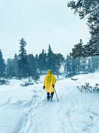 Rear view of person walking on snow covered land