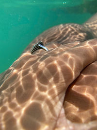 Close-up of human hand in swimming pool