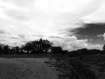 View of trees on grassy landscape against cloudy sky