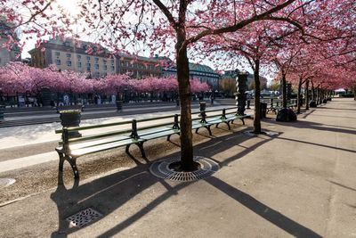 View of empty park bench in city