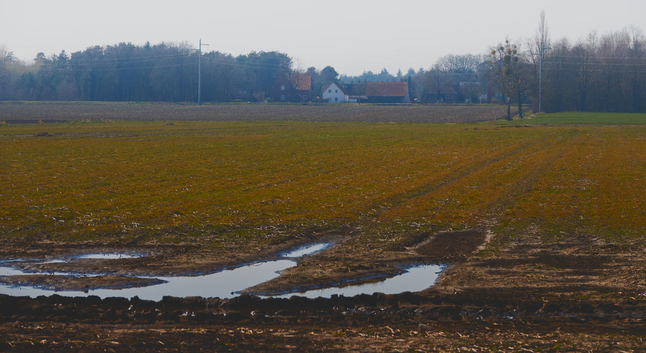 SCENIC VIEW OF FIELD AGAINST TREES AND SKY