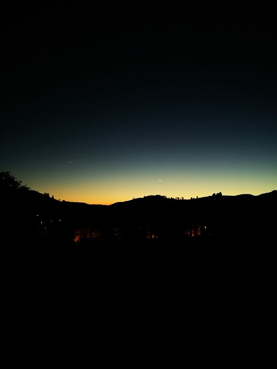 SILHOUETTE OF TREES AT NIGHT