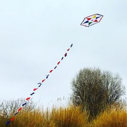 Low angle view of kite against sky