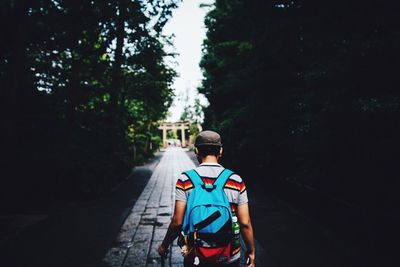 Rear view of man walking towards torii gate amidst trees