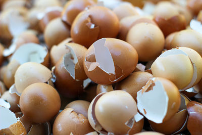 Full frame shot of eggs