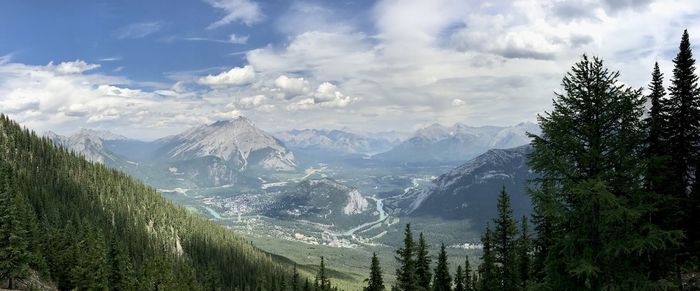 Panoramic view of pine trees and mountains against sky