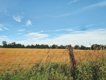 Scenic view of agricultural field against sky