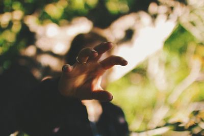 Close-up of hand on tree