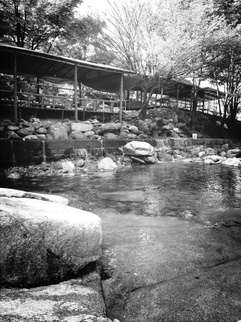 tree, water, rock - object, nature, river, built structure, sunlight, transportation, day, outdoors, tranquility, no people, stone - object, tranquil scene, flowing water, architecture, beauty in nature, forest, park - man made space, bridge - man made structure