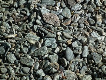 High angle view of stones