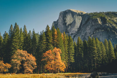 Most famous mountains inside yosemite nationalpark, california. el capitan and half dome.