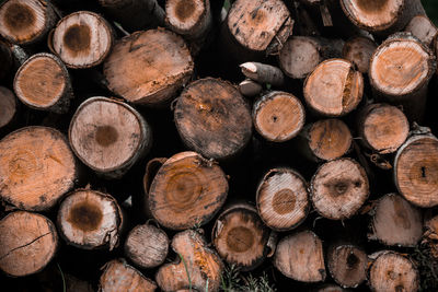 Full frame shot of logs in forest