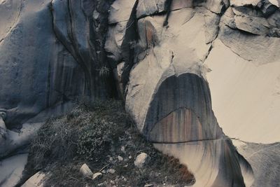 Rock formations in forest