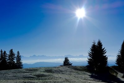 Scenic view of landscape against blue sky