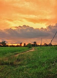 Scenic view of field against sky during sunset