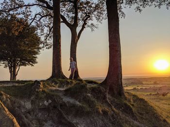 Trees on landscape against sunset sky