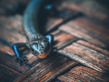 High angle view of glass container on wooden table