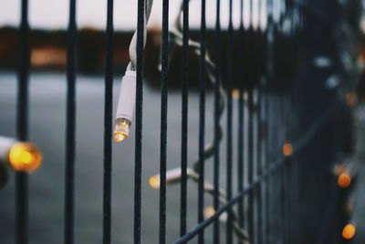 Close-up of illuminated string lights on metal