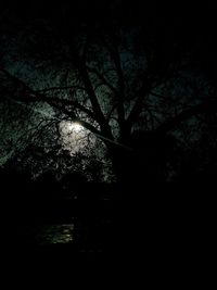 Silhouette trees in forest against sky at night