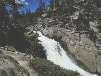 Scenic view of waterfall in forest