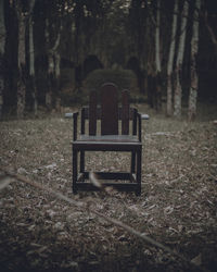 Empty bench in forest