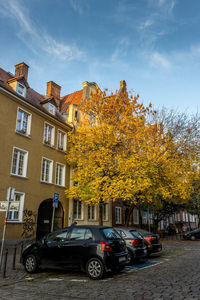 Cars on street amidst buildings in city