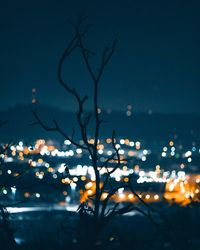 Illuminated tree against sky at night