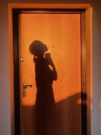 Shadow of woman photographing through window on wall