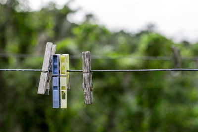Close-up of clothesline hanging on rope