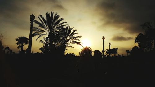 Silhouette of trees at sunset