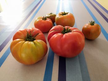 High angle view of tomatoes on table