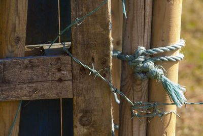 Close-up of rope tied to wooden post